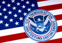 ICE Patrols LaGuardia As Lines Explode US Immigration and Customs Enforcement badge on flag