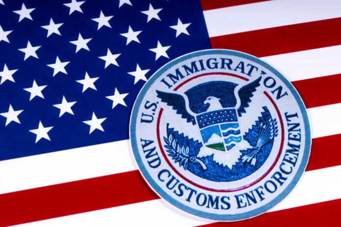 US Immigration and Customs Enforcement badge on flag