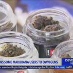 Weed Users Win — Gun Rights Twist Supreme Court rules habitual marijuana users cannot be BANNED from owning guns