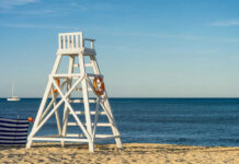 Crocodile Strikes Paradise Beach Lifeguard chair on sandy beach near ocean