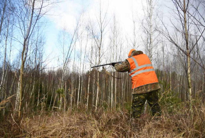 Hunter in high-visibility vest aiming rifle in forest.
