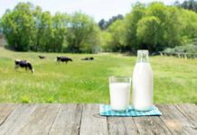 Killer Cheese Hiding In Plain Sight Milk bottle and glass on wooden table outdoors