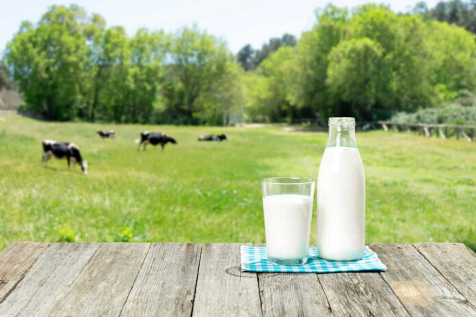 shutterstock_2444461993 Milk bottle and glass on wooden table outdoors