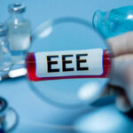 Magnifying glass over test tube labeled EEE