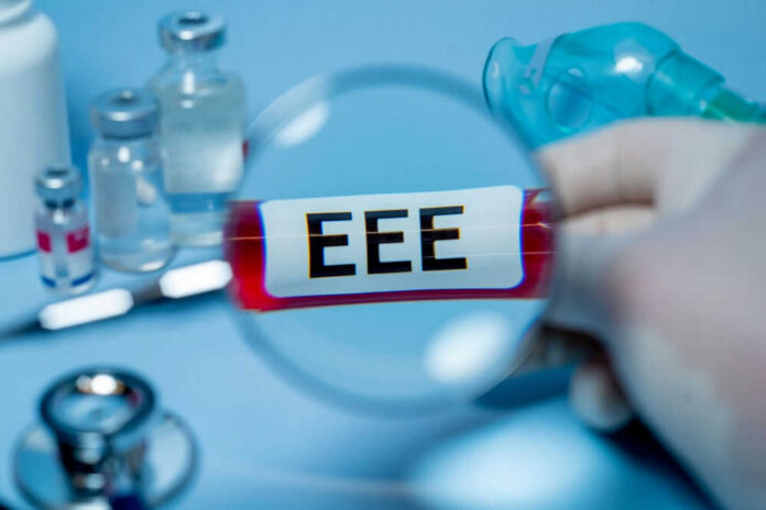 shutterstock_2508953349 Magnifying glass over test tube labeled EEE