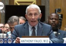 Fauci Stonewalls — 111 Times! Fauci invokes 5th Amendment during Senate testimony
