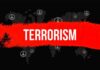 VIDEO: Firebombed Federal Plaza Sparks Terror Probe Graphic representation of terrorism with peace symbols and a bold red stripe