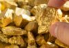 Hand holding a rough gold nugget among scattered gold pieces