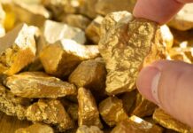 VIDEO: Gold Pit Gives Way — Deadly Horror Underground Hand holding a rough gold nugget among scattered gold pieces