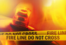 Arson Twist Explodes Wildfire Chaos Firefighter spraying water on a raging forest fire at night