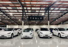 Tesla Hit — Massive Recall White Tesla cars displayed in showroom with Tesla sign.