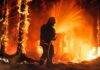 Firestorm Slams Spokane — 600 Homes Vanish Firefighter spraying water on a raging forest fire at night
