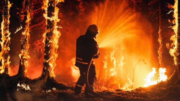 Professional,Firefighter,Extinguishing,Large,,High-priority,Part,Of,The,Forest,Fire. Firefighter spraying water on a raging forest fire at night