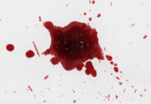 Sunday Dinner Turns to Mass Carnage Red liquid splatter on a white background.