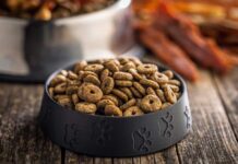 Dog Food Recall After Scary Outbreak