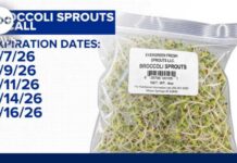 New salmonella outbreak linked to broccoli sprouts
