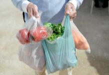 Food Recall Whiplash Hits Election Season Person carrying grocery bags with vegetables and fruits.